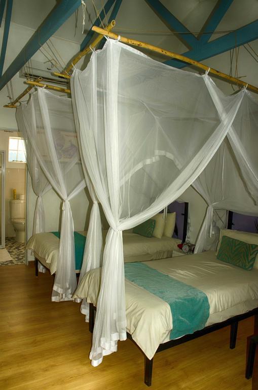 Bed and Breakfast The Old House Kasane Exterior foto